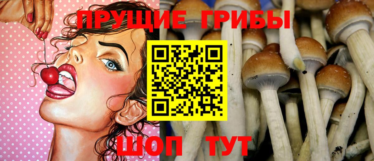 Галлюциногенные грибы прущие грибы Ижевск